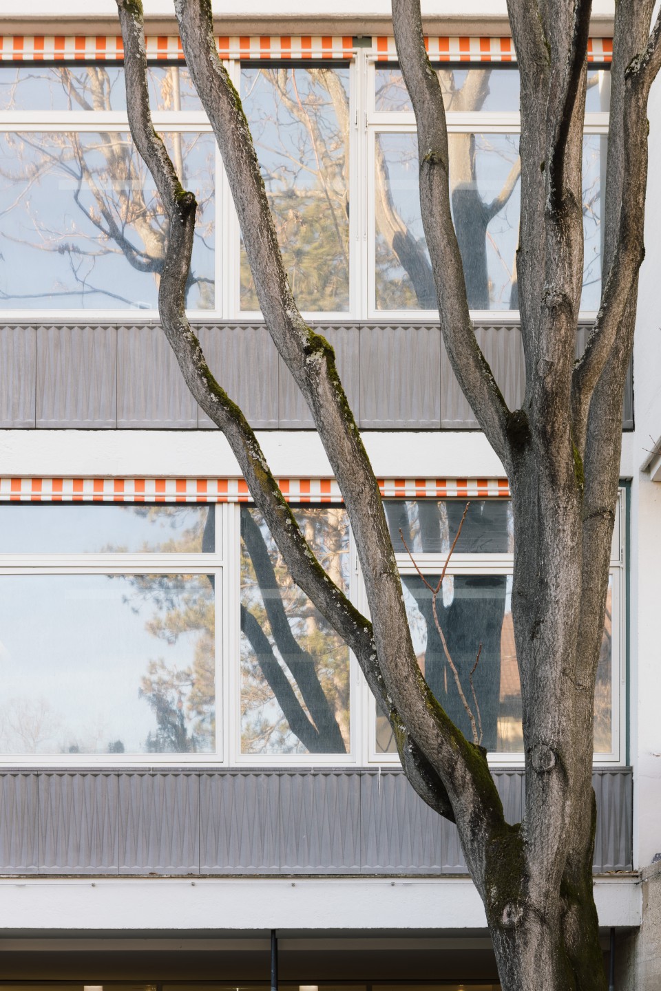 Erweiterung und Sanierung  Eberhard-Ludwigs-Gymnasium in Stuttgart